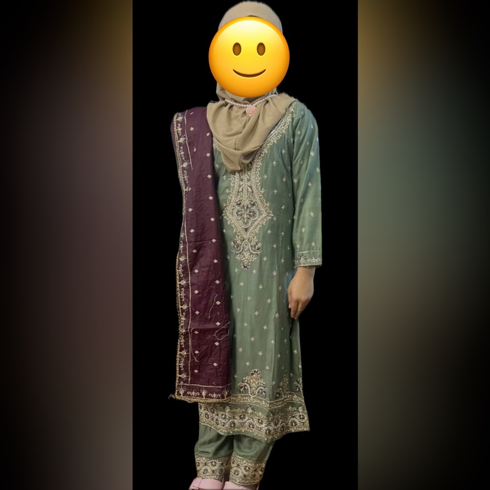 Elegant Green Embroidered Dress ( Salwar Kameez) with Purple Accents